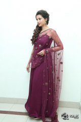 Hamsa Nandini at Bengal Tiger Movie Audio Launch